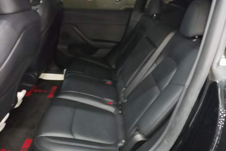 Used Tesla Model Y 2023 Rear-Wheel-Drive Version Left Rear Seat