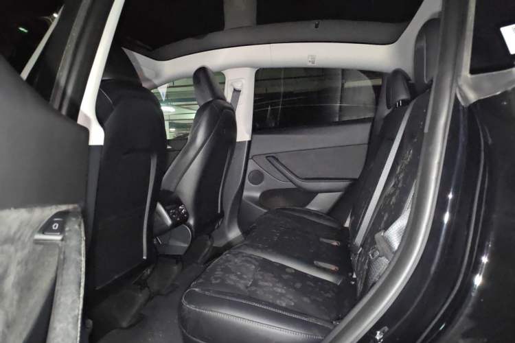 Used Tesla Model Y 2023 Rear-Wheel-Drive Version Left Rear Seat