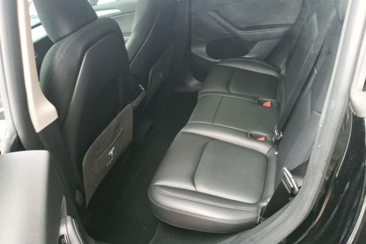 Used Tesla Model Y 2023 Rear-Wheel-Drive Version Left Rear Seat