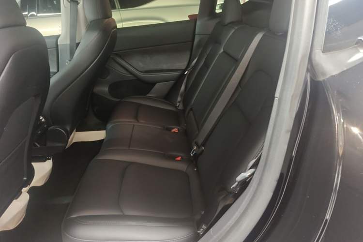 Used Tesla Model Y 2023 Long-Range All-Wheel-Drive Version Left Rear Seat