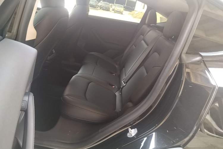 Used Tesla Model Y 2023 Rear-Wheel-Drive Version Left Rear Seat