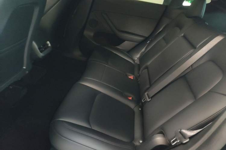 Used Tesla Model Y 2023 Rear-Wheel-Drive Version Left Rear Seat