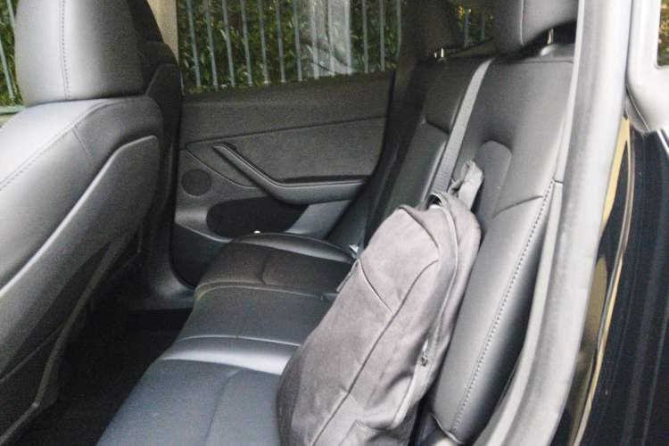 Used Tesla Model Y 2023 Long-Range All-Wheel-Drive Version Left Rear Seat