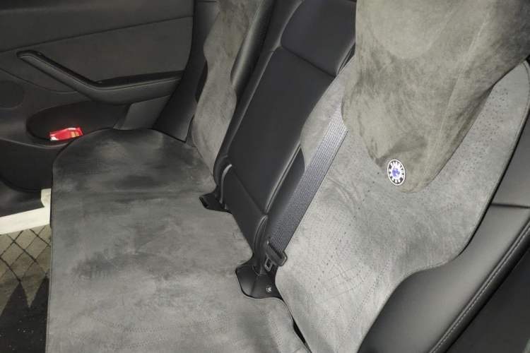 Used Tesla Model Y 2023 Long-Range All-Wheel-Drive Version Left Rear Seat