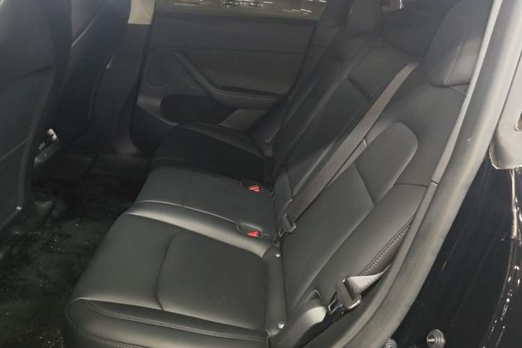 Used Tesla Model Y 2023 Rear-Wheel-Drive Version Left Rear Seat