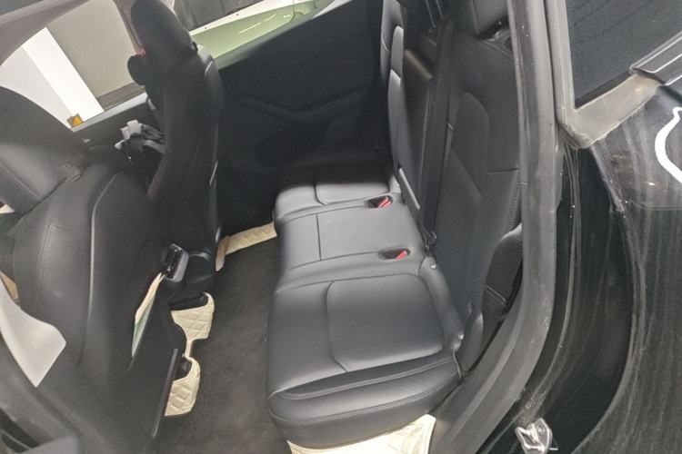 Used Tesla Model Y 2023 Rear-Wheel-Drive Version Left Rear Seat