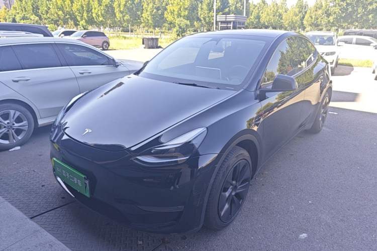 Tesla Model Y 2023 Long-Range All-Wheel-Drive Version