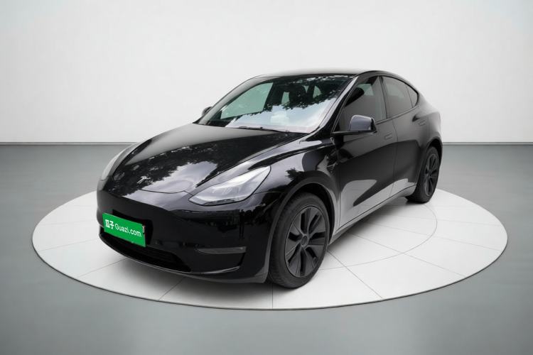 Tesla Model Y 2023 Long-Range All-Wheel-Drive Version