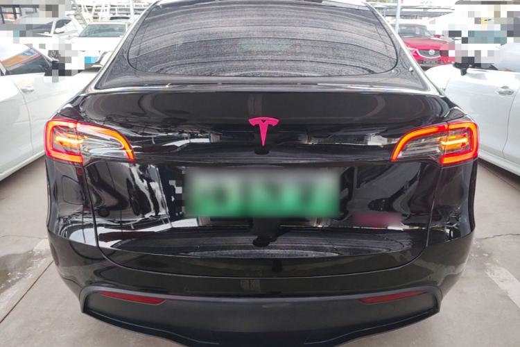 Used Tesla Model Y 2023 Rear-Wheel-Drive Version Rear