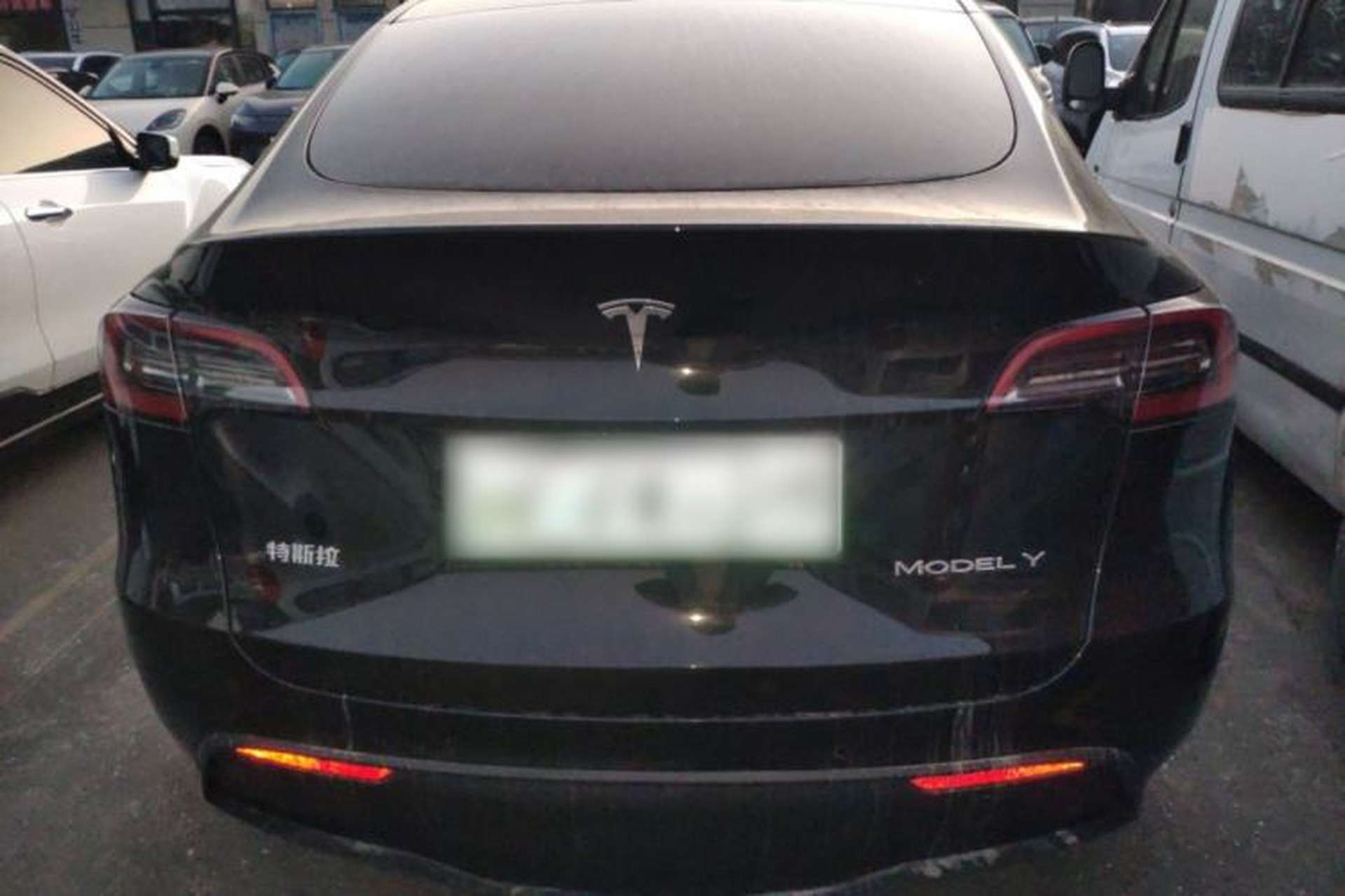 Used Tesla Model Y 2023 Rear-Wheel-Drive Version Rear