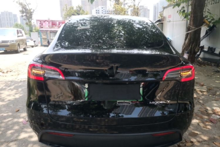 Used Tesla Model Y 2023 Rear-Wheel-Drive Version Rear