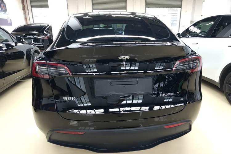 Used Tesla Model Y 2023 Rear-Wheel-Drive Version Rear