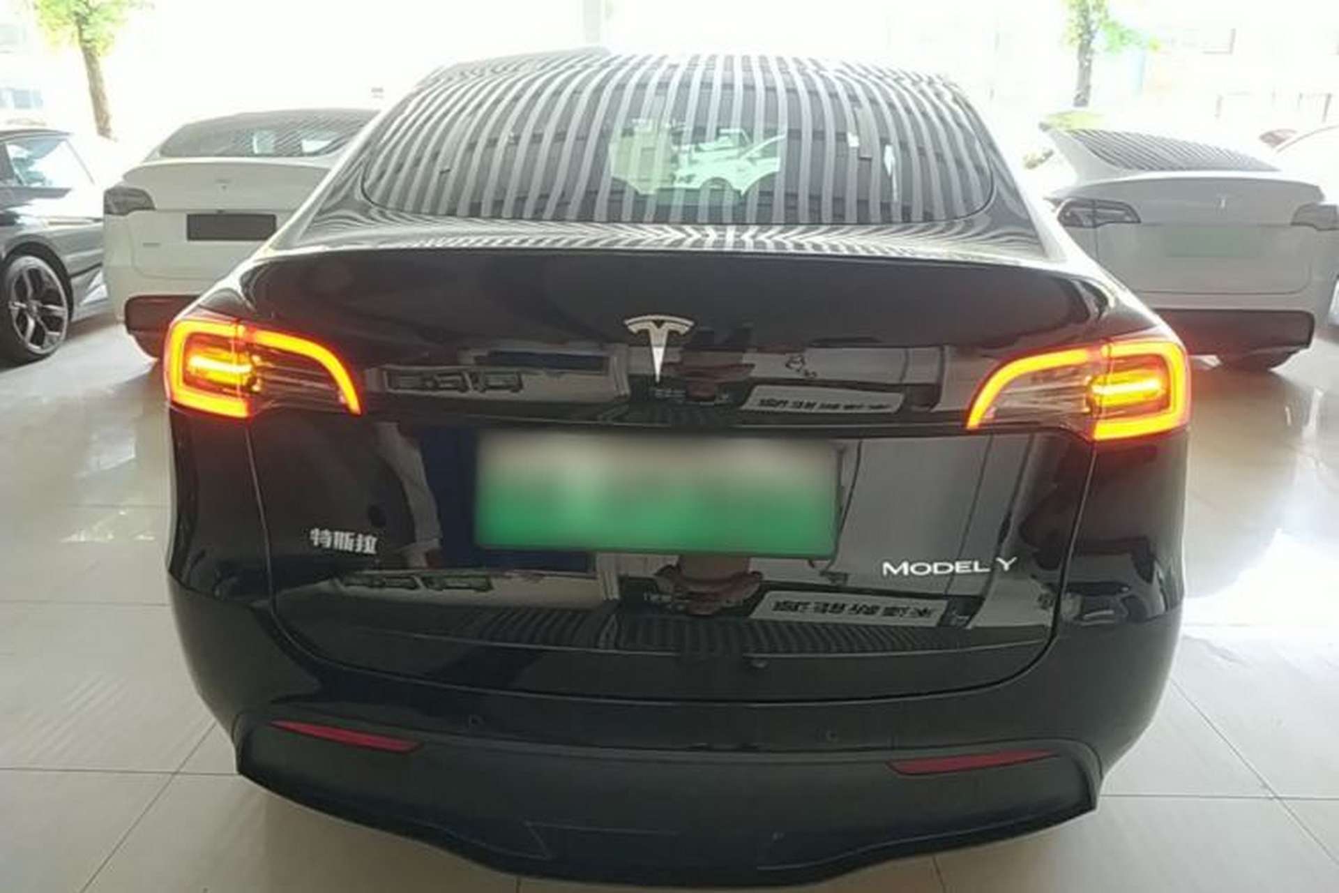 Used Tesla Model Y 2023 Rear-Wheel-Drive Version Rear