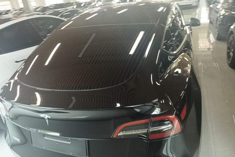 Used Tesla Model Y 2023 Rear-Wheel-Drive Version Rear