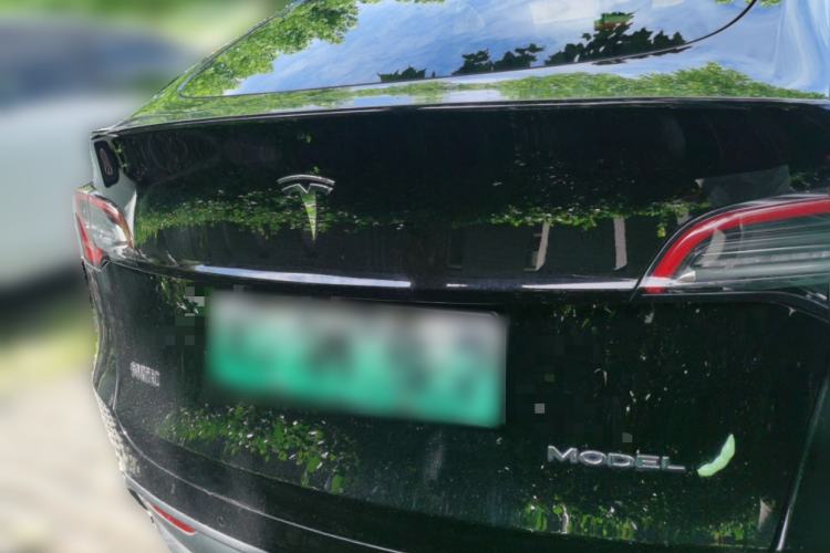 Used Tesla Model Y 2023 Rear-Wheel-Drive Version Rear