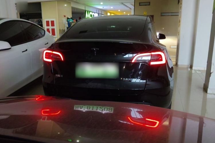 Used Tesla Model Y 2023 Rear-Wheel-Drive Version Rear