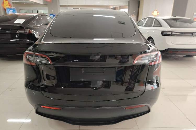 Used Tesla Model Y 2023 Rear-Wheel-Drive Version Rear