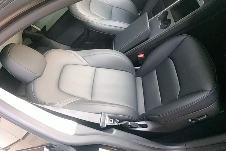 Used Tesla Model Y 2023 Rear-Wheel-Drive Version Right Front Seat