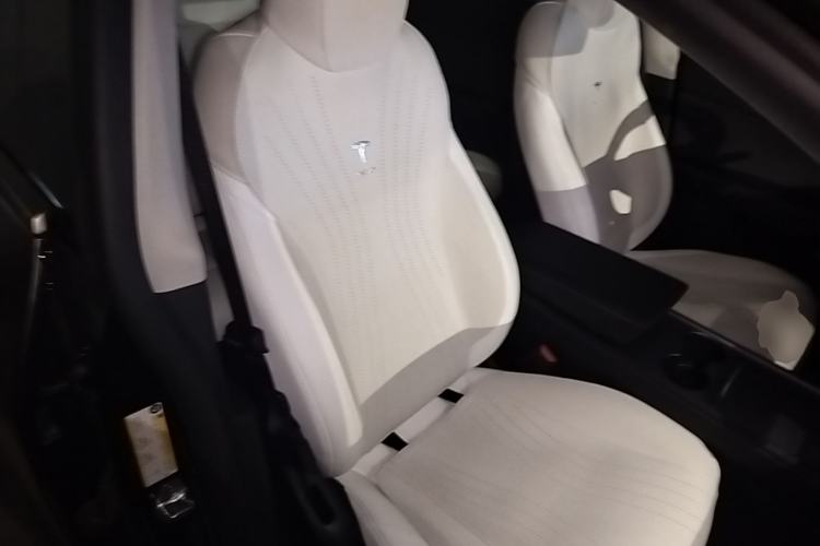 Used Tesla Model Y 2023 Rear-Wheel-Drive Version Right Front Seat