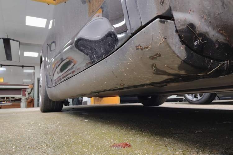 Used Tesla Model Y 2023 Rear-Wheel-Drive Version Right Side Sill