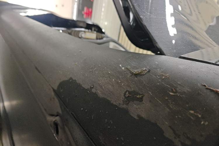 Used Tesla Model Y 2023 Rear-Wheel-Drive Version Right Side Sill