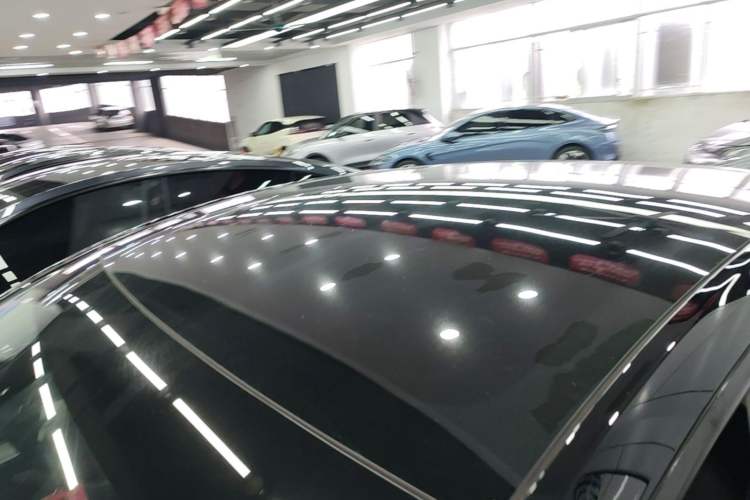 Used Tesla Model Y 2023 Long-Range All-Wheel-Drive Version Roof