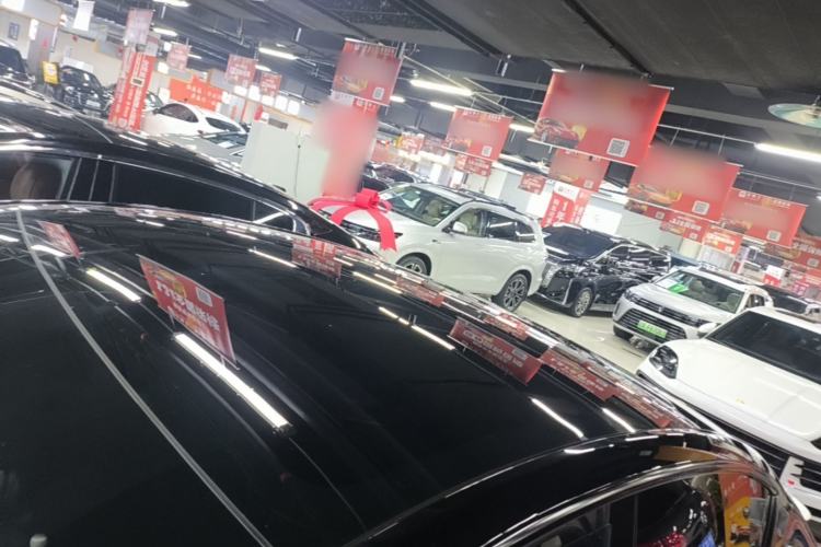 Used Tesla Model Y 2023 Rear-Wheel-Drive Version Roof