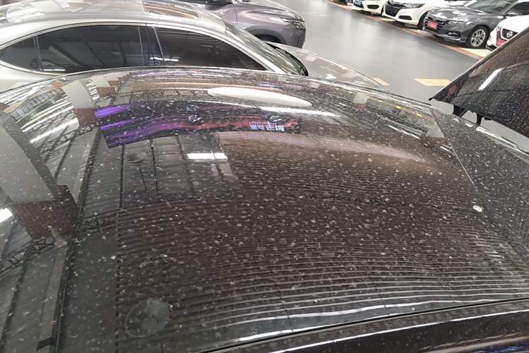 Used Tesla Model Y 2023 Rear-Wheel-Drive Version Roof