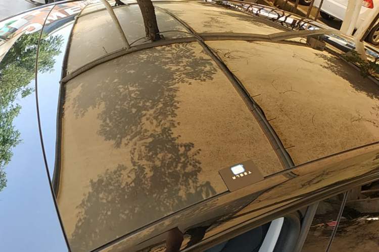 Used Tesla Model Y 2023 Rear-Wheel-Drive Version Roof