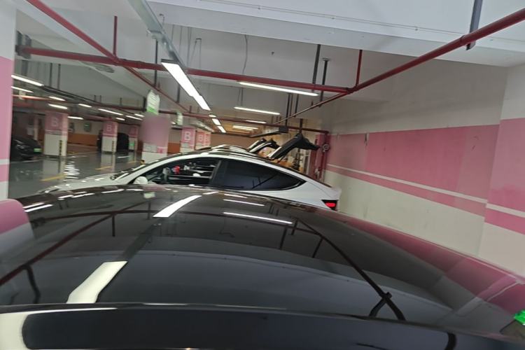 Used Tesla Model Y 2023 Rear-Wheel-Drive Version Roof
