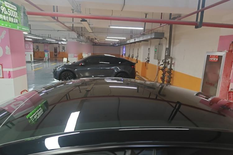 Used Tesla Model Y 2023 Rear-Wheel-Drive Version Roof