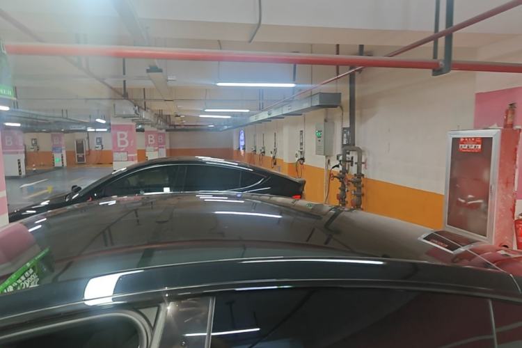 Used Tesla Model Y 2023 Rear-Wheel-Drive Version Roof