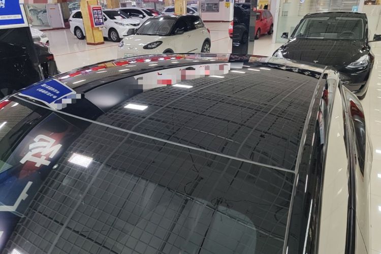 Used Tesla Model Y 2023 Rear-Wheel-Drive Version Roof