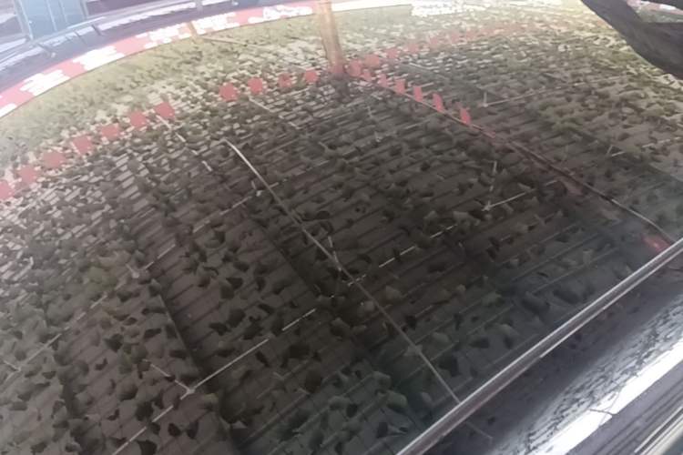Used Tesla Model Y 2023 Rear-Wheel-Drive Version Roof