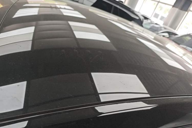 Used Tesla Model Y 2023 High-Performance All-Wheel-Drive Version Roof