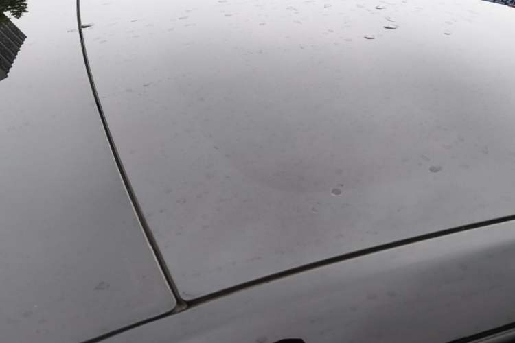 Used Tesla Model Y 2023 Rear-Wheel-Drive Version Roof