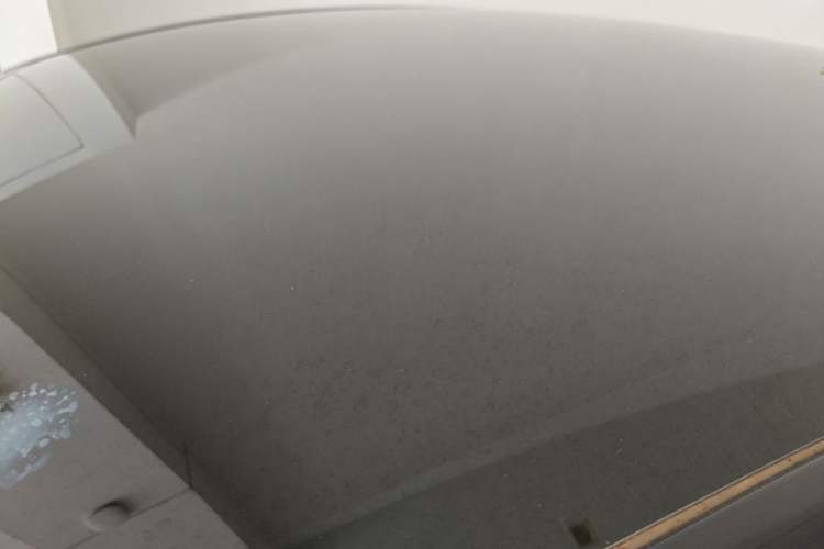 Used Tesla Model Y 2023 Rear-Wheel-Drive Version Roof