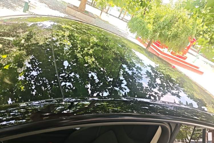 Used Tesla Model Y 2023 Rear-Wheel-Drive Version Roof