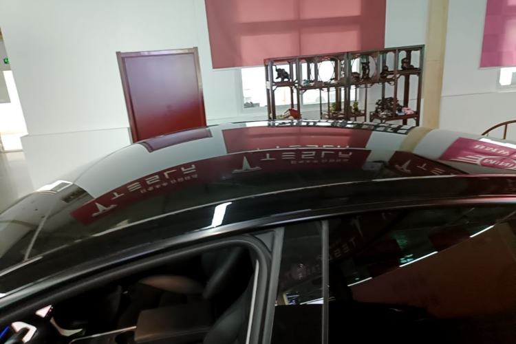 Used Tesla Model Y 2023 Rear-Wheel-Drive Version Roof