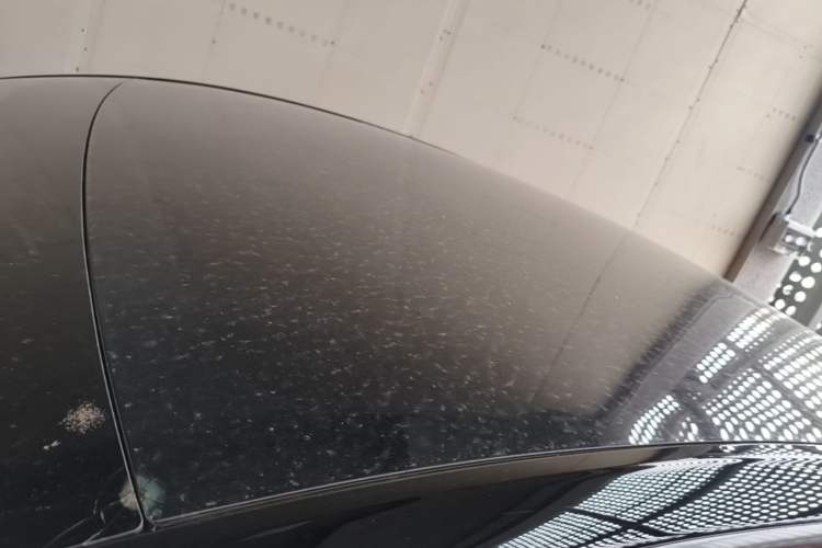 Used Tesla Model Y 2023 Rear-Wheel-Drive Version Roof