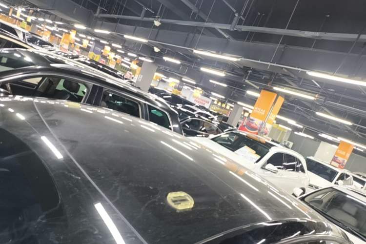 Used Tesla Model Y 2023 Rear-Wheel-Drive Version Roof