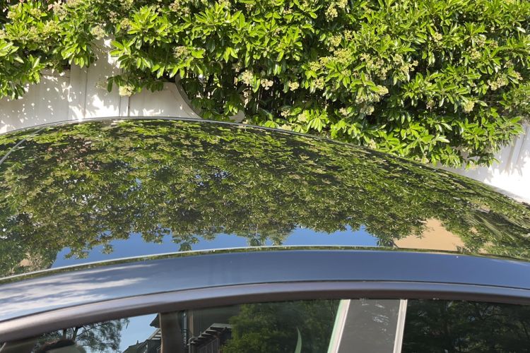 Used Tesla Model Y 2023 Rear-Wheel-Drive Version Roof