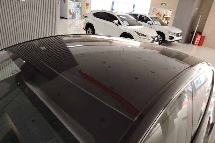 Used Tesla Model Y 2023 Rear-Wheel-Drive Version Roof