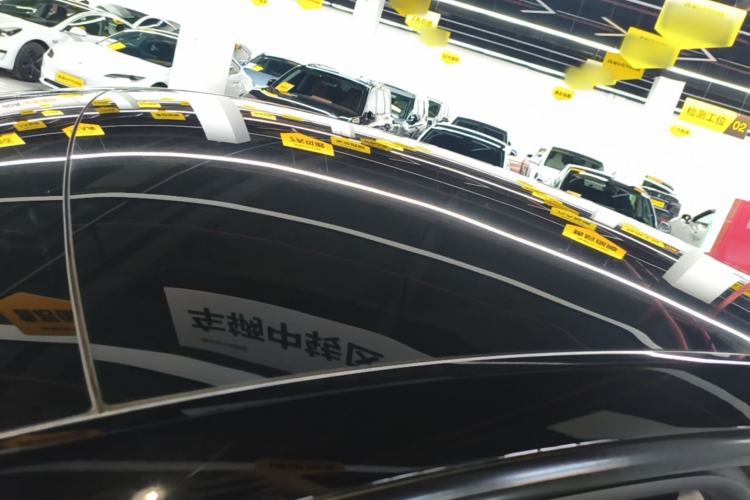 Used Tesla Model Y 2023 Rear-Wheel-Drive Version Roof