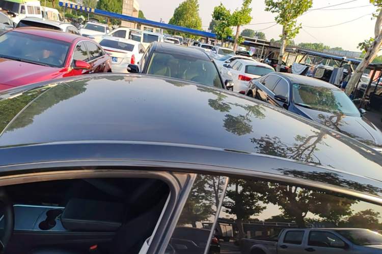 Used Tesla Model Y 2023 Rear-Wheel-Drive Version Roof