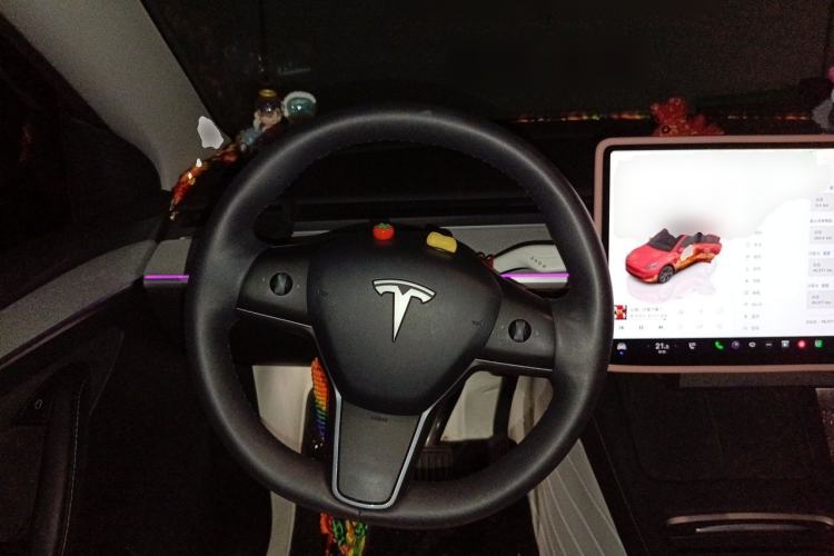 Used Tesla Model Y 2023 Long-Range All-Wheel-Drive Version Steering Wheel