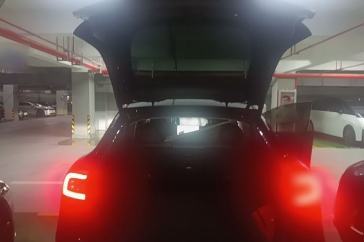 Used Tesla Model Y 2023 Rear-Wheel-Drive Version Trunk