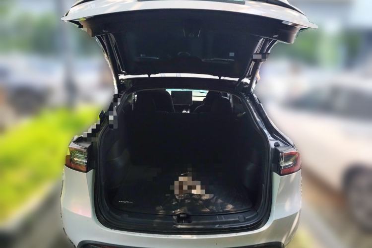 Used Tesla Model Y 2023 Long-Range All-Wheel-Drive Version Trunk