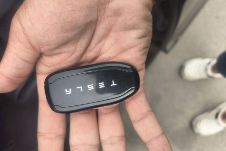 Used Tesla Model Y 2023 Long-Range All-Wheel-Drive Version Vehicle Key