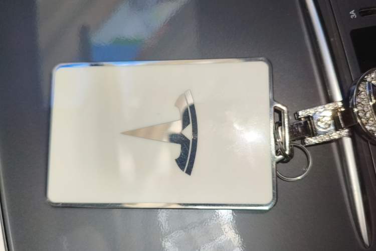 Used Tesla Model Y 2023 Rear-Wheel-Drive Version Vehicle Key